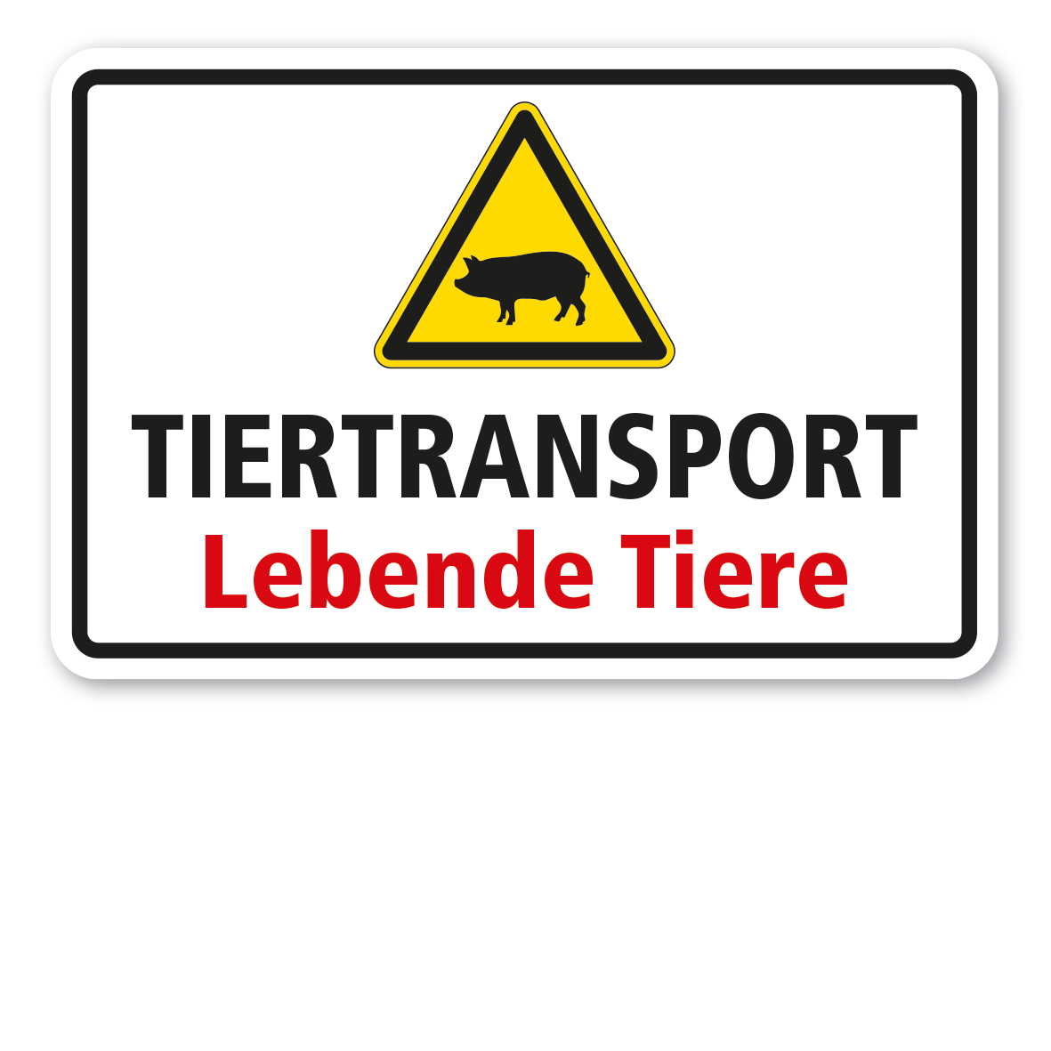 Warnschild Tiertransport - Lebende Tiere - mit Warnzeichen Schwein
