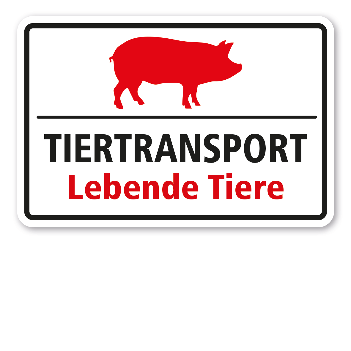 Hinweisschild Tiertransport - Lebende Tiere - mit Abbildung vom Schwein