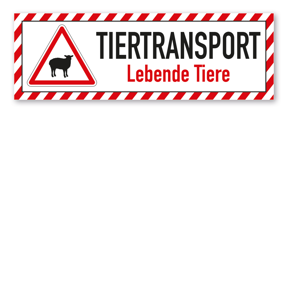 Schild für Tiertransporte -  Tiertransport - Lebende Tiere - Schafe - mit roter Warnstreifenumrandung und Warnsymbol